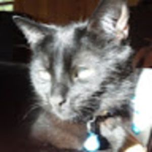 Meet your Posher, Jocelyn